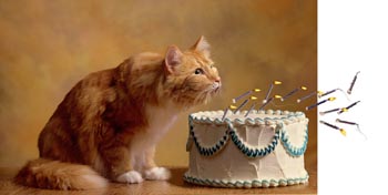doğum günü mumlu pastalar